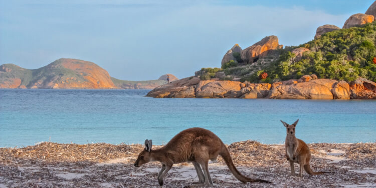 Wyjazd do Australii? Zaplanuj swój budżet